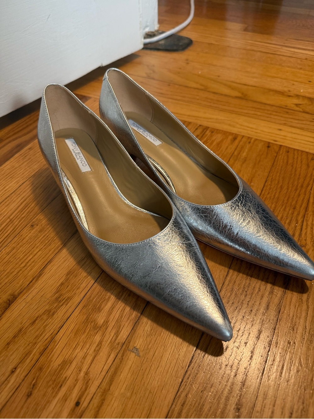 Tony Bianco Metallic Silver Pointed Toe Pumps